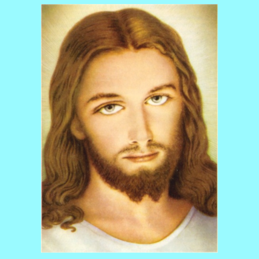 Gesù Cristo Misericordioso Vero Dio e Vero Uomo